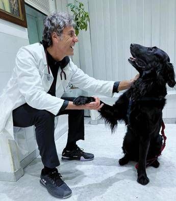 nelle case degli italiani 8 milioni di cani compagni ma anche un po medici 2