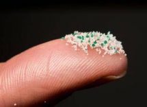 medici ambiente da cervello a placenta microplastiche ovunque nel nostro corpo 2