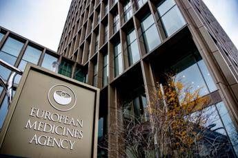ema ritira dal mercato dellue i farmaci contenenti levamisolo quali sono i rischi 2