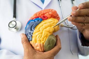 malattie neuromuscolari e miastenia grave nasce academyx per lalta formazione 2