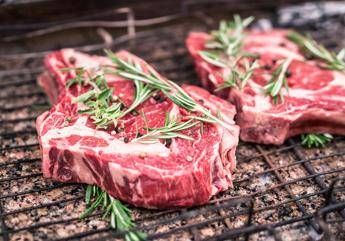 alzheimer mangiare piu carne puo proteggere il cervello lo studio 2