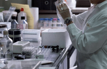 tumore al canale anale via libera in europa a retifanlimab con chemioterapia in prima linea 2