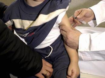 vaccini barretta fimp pediatri impegnati per migliore copertura anti meningococco b 2