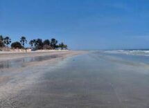 bimbi al mare 164 spiagge scelte dai pediatri ecco le bandiere verdi del 2026 2