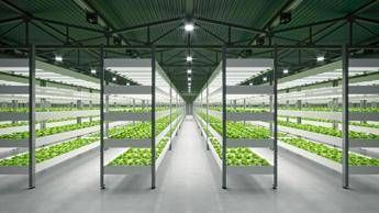 cristalfarma prosegue gli investimenti sui suoi integratori avanzati e rafforza quelli sul vertical 2