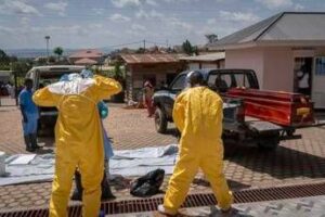 ebola identikit del virus bundibugyo storia di un nome che fa discutere 2