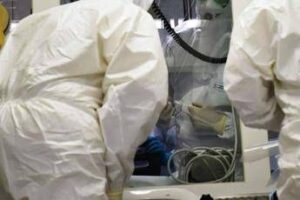 ebola la conferma di un focolaio in congo 246 casi sospetti e 65 morti 2