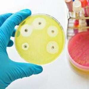 ai e medicina di precisione per combattere super batteri resistenti lo studio italiano su quasi 10 000 pazienti 2