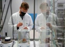 cancro polmone ok ue a lurbinectedina piu atezolizumab in prima linea 2