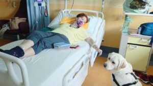 in veneto prima chemio con cagnolina joy al letto della paziente 2