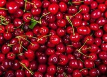 la ciliegia e le qualita nascoste calabrese anche il gambo fa bene 2