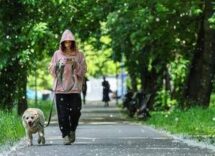 obbligo di lavare la pipi del cane in strada bassetti dal punto di vista scientifico non serve a nulla 2
