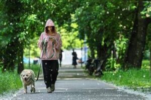 obbligo di lavare la pipi del cane in strada bassetti dal punto di vista scientifico non serve a nulla 2