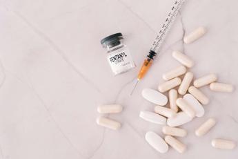 fentanyl anche corse clandestine cavalli tra ipotesi furto allospedale israelitico 2