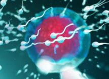 fertilita dove vive lui conta regione di residenza e smog incidono su qualita sperma 2