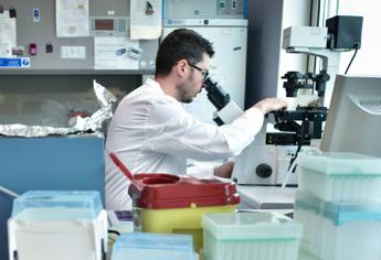 ricerca stretta usa su studi ad alto rischio stop fondi a test su virus potenziati 2