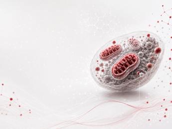 ricerca studio italiano svela il ruolo dei mitocondri nellinvecchiamento sano 2