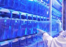 scoperta una nuova malattia genetica del neurosviluppo 2