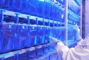 scoperta una nuova malattia genetica del neurosviluppo 2