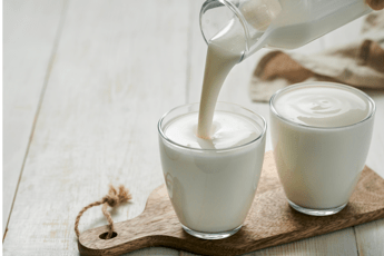 alimenti studio unifi sui benefici dei lieviti del kefir 2