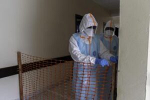 dallebola alla dengue la mappa dei focolai dellestate 2026 2