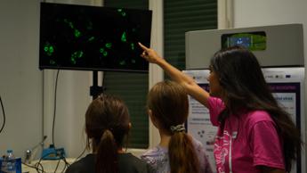 roma allo spallanzani la settimana della scienza per i 90 anni dellistituto 2