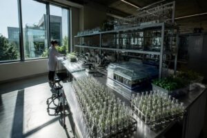 Arc-net e Università di Verona contribuiscono alla Human cancer models initiative