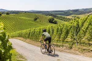 Chenot Espace L’Albereta: il rifugio per un detox completo in Italia