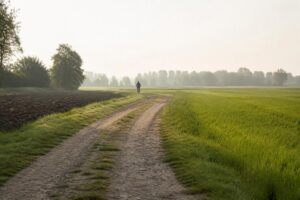 Eventi in bicicletta a Cremona: mobilitazione per l'ambiente e la salute