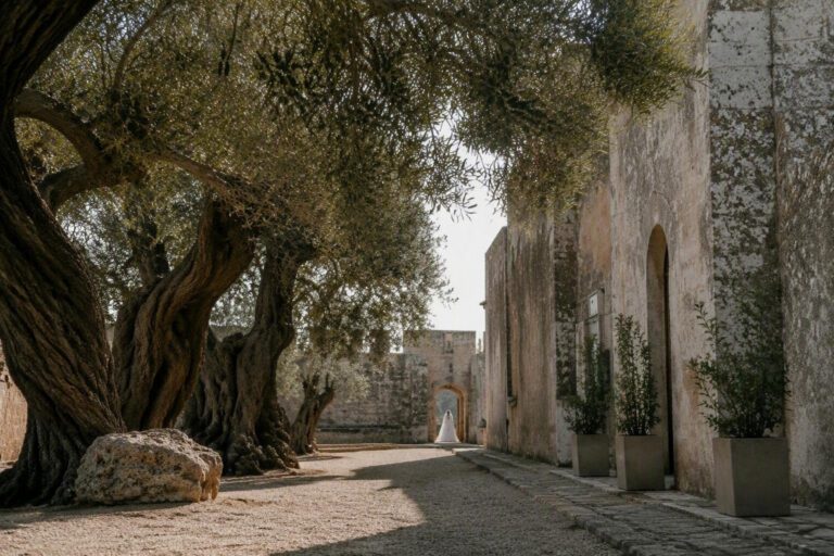 Matrimoni di lusso in Puglia: il fascino delle masserie e degli uliveti secolari