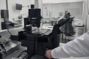 Procreazione assistita: il caso del San Raffaele e le conseguenze