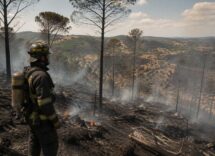 Weekend di Ferragosto 2026: allerta caldo e incendi, ecco la situazione