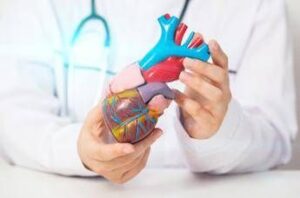 cardiomiopatia ipertrofica ostruttiva terapia innovativa efficace e sicura a 5 anni 2
