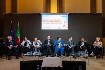 emoglobinopatie per migliorare la gestione nasce il mediterranean network 2