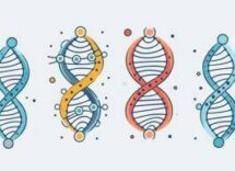 i geni non sono destino essere attivi e ridurre cibi ultraprocessati taglia rischio diabete 2