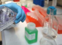 tumori al via studio per ridurre rischio recidive da cancro al seno 2