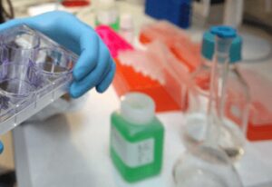 tumori al via studio per ridurre rischio recidive da cancro al seno 2