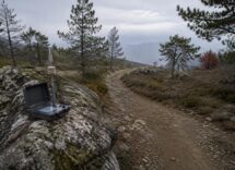 ARPA Abruzzo e Università promuovono l'educazione ambientale lungo il Cammino Grande di Celestino