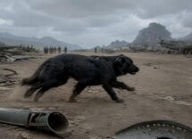 La storia straordinaria di Gander, il cane che salvò vite umane durante la battaglia di Hong Kong
