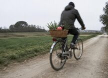 Mela Annurca, rosmarino e Serenoa: cosa dicono gli studi sulla caduta dei capelli