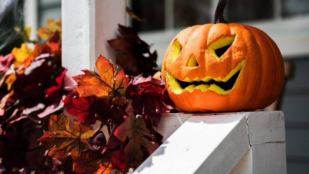 halloween picco di lesioni da intaglio zucche come evitare la maledizione della jack o lantern 2