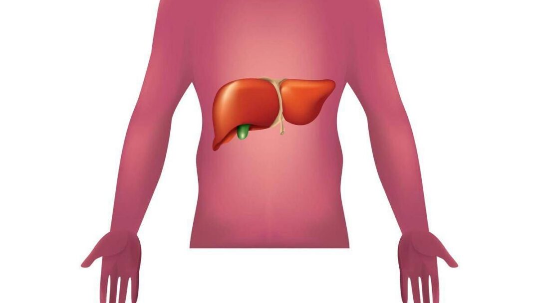 malattie autoimmuni del fegato nuova strategia con nanovettori in studio italiano 2