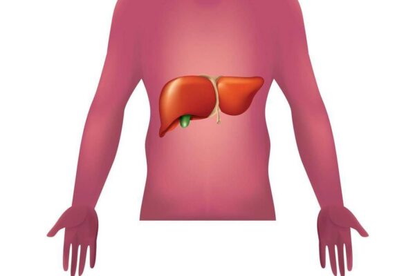 Malattie autoimmuni del fegato, nuova strategia con nanovettori in studio italiano