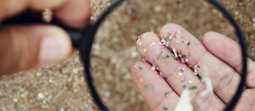 Microplastiche e salute della donna, Fondazione Sigo avvia percorso informativo