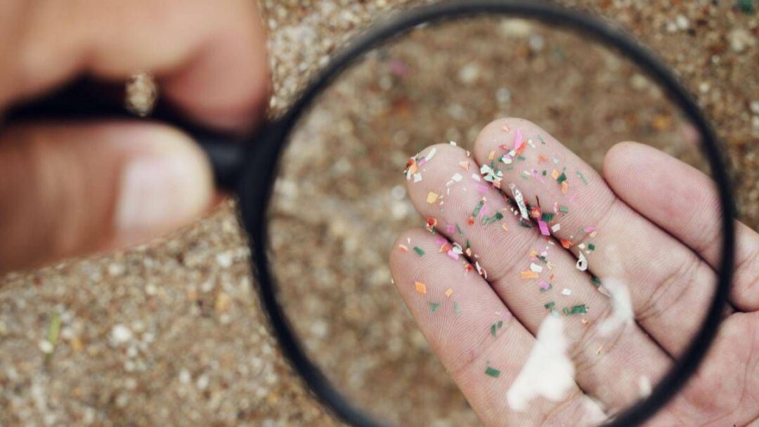 microplastiche e salute della donna fondazione sigo avvia percorso informativo 2