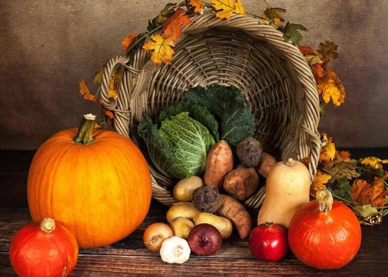 ora solare dalla zucca ai broccoli fino al melograno i cibi autunnali per ritrovare lequilibrio 2