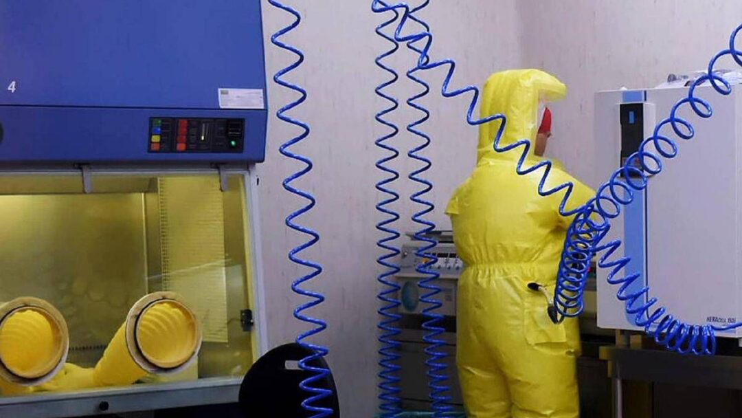 shamonda virus primo caso umano cosa sappiamo tutti i rischi 2