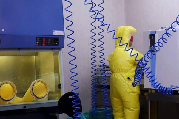 Shamonda virus, primo caso umano: cosa sappiamo, tutti i rischi