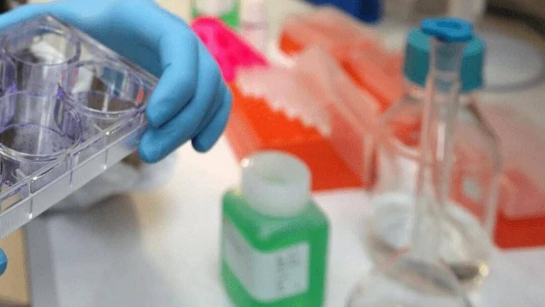 tumori in europa mortalita maschile in calo del 78 in italia 15 mesi per le nuove terapie 2