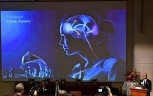 unalga e una luce blu cosi e nata la scoperta che ha vinto il nobel per la medicina 2026 2